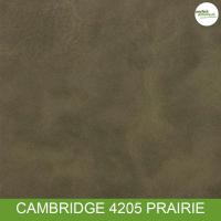 Cambridge 4205 Prairie
